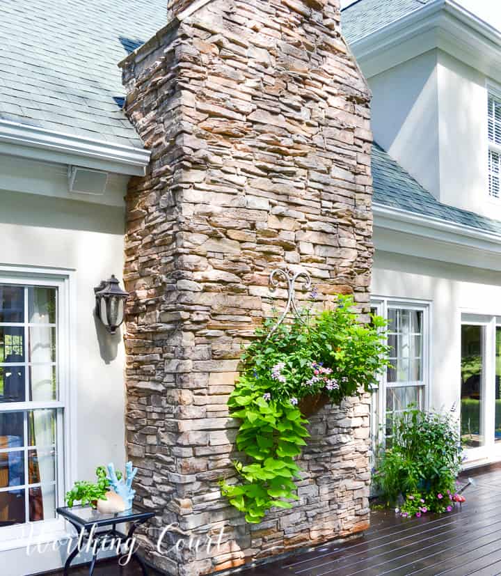 plant hanging on rock fireplace chimney exterior
