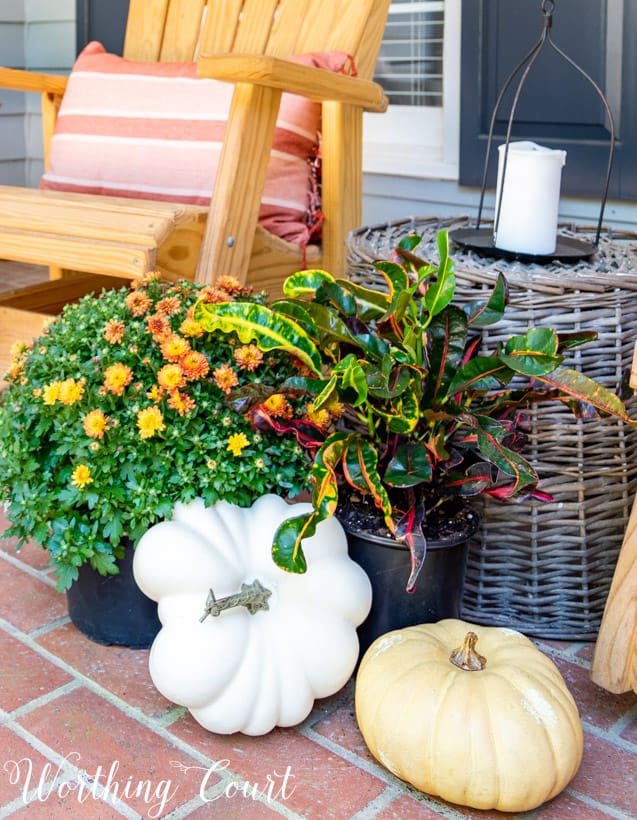 front porch decor ideas grouping of mums and pumpkins for fall