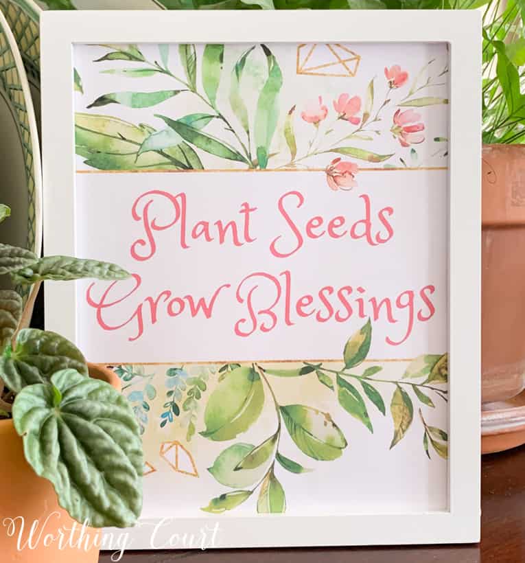 Plant Seeds Grow Blessings graphic.