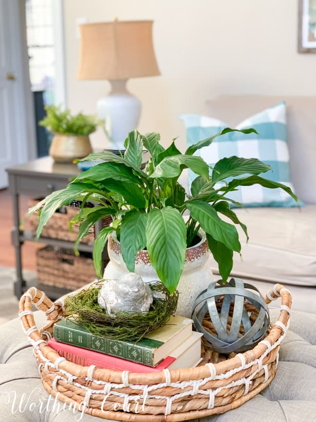 A potted green plant in a woven tray with decor items.
