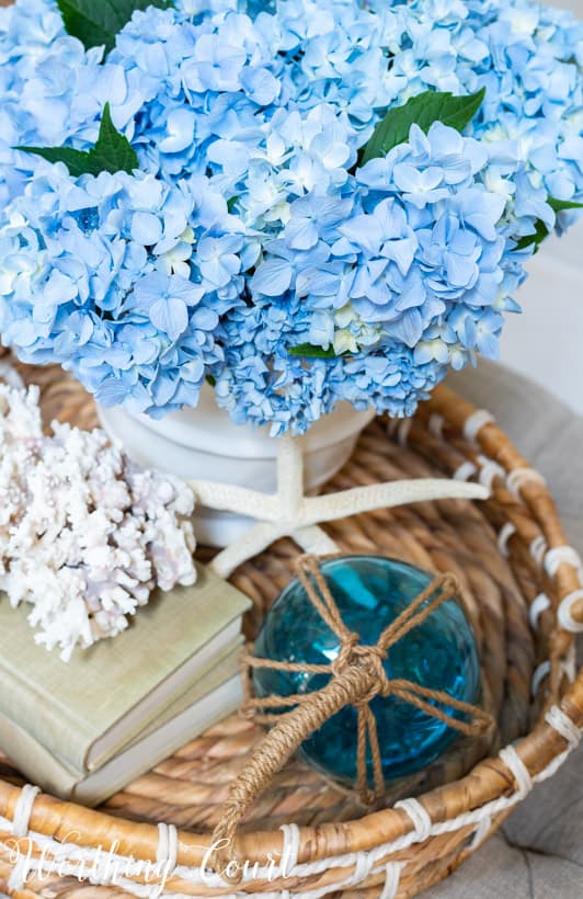 Summer vignette of blue hydrangeas in a white vase in a wicker tray on coffee table.