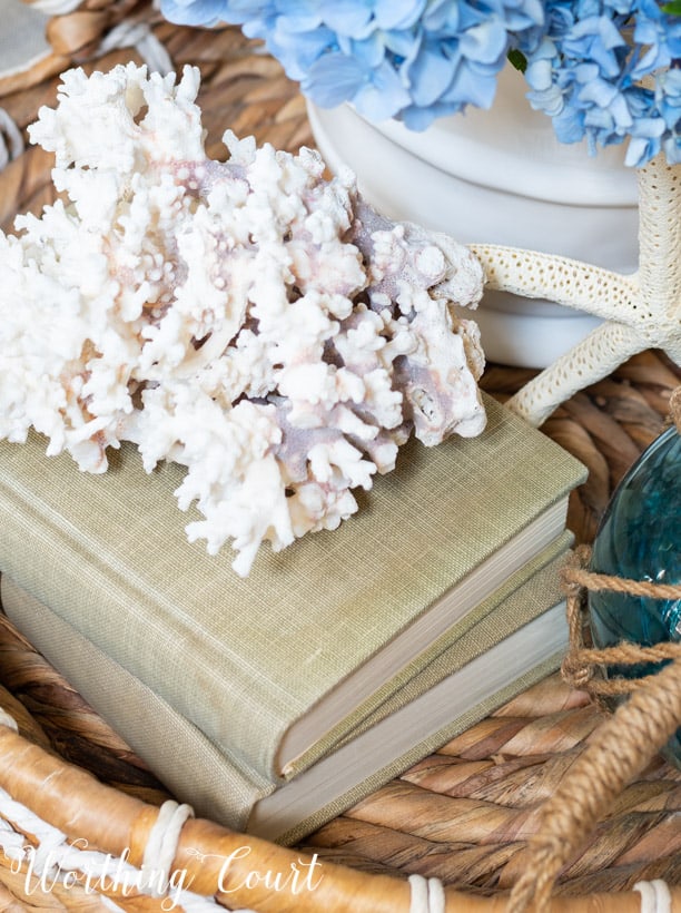 Coral on top of a book in the vignette.