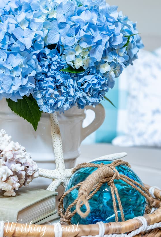 The bright blue hydrangeas in the white vase on the table.