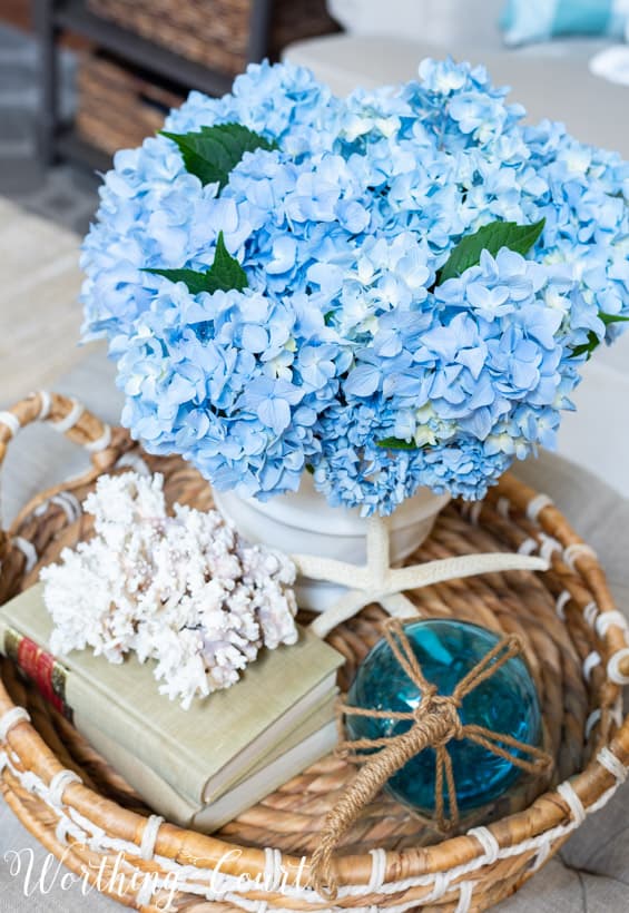 A starfish and coral plus blue glass in the vignette.