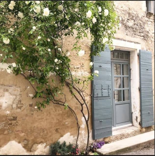 side of old house with gray shutters flanking a window and a blooming tree growing up the side