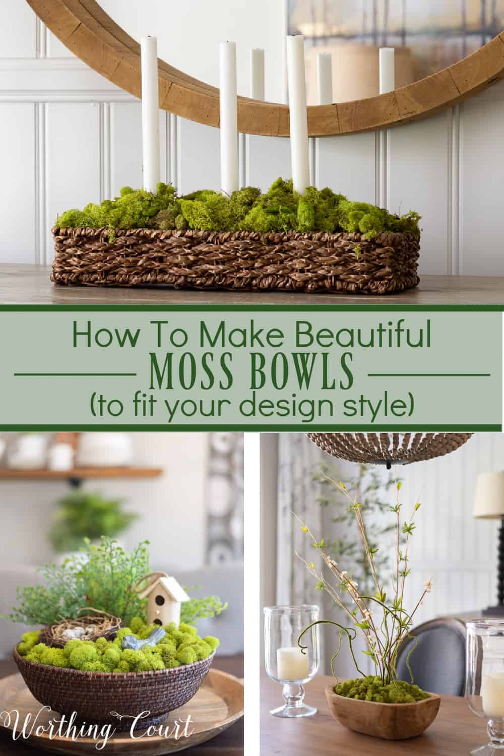 pinterest graphic for blog post on how to make your own moss bowls