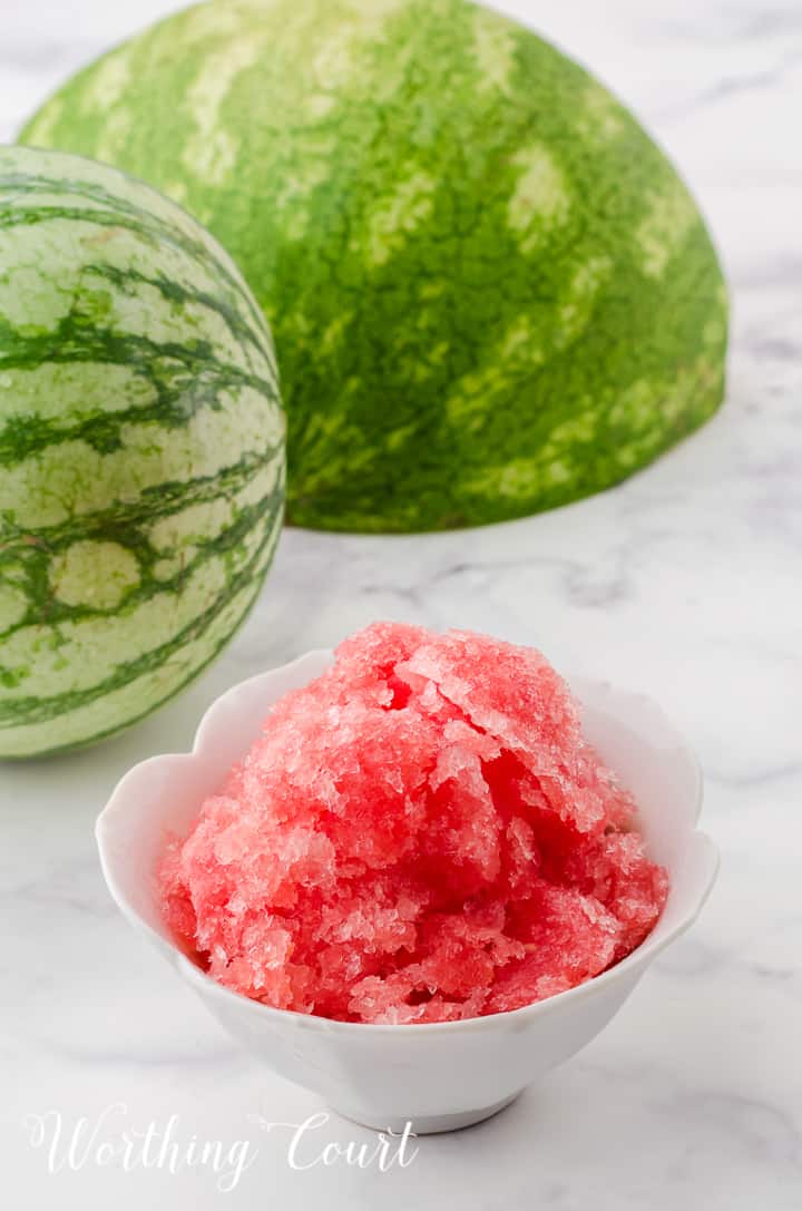 small white bowl filled with watermelon sorbet