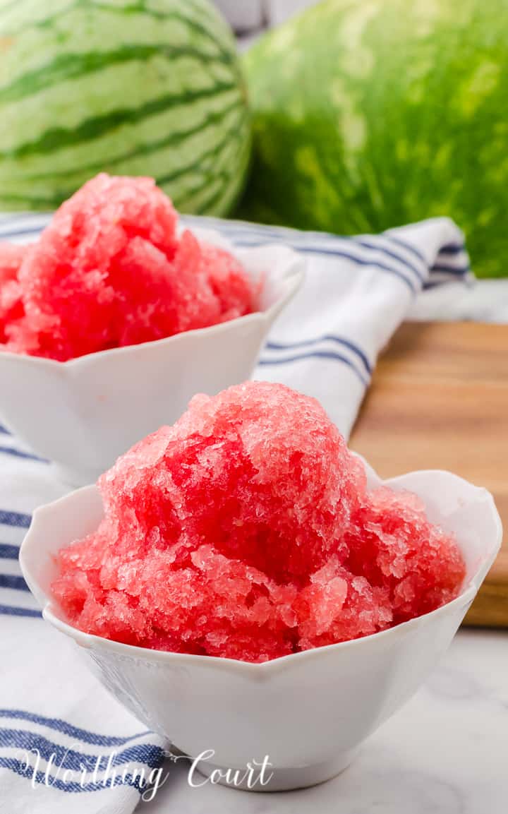 2 small white bowls filled with watermelon sorbet