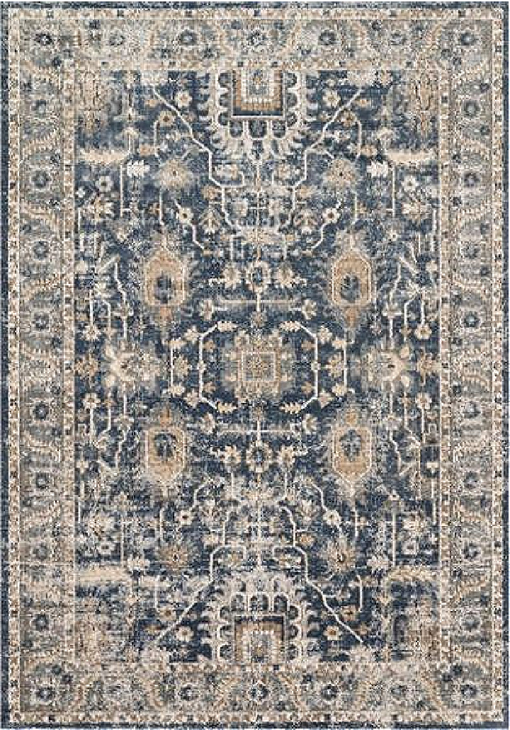 blue and tan area rug