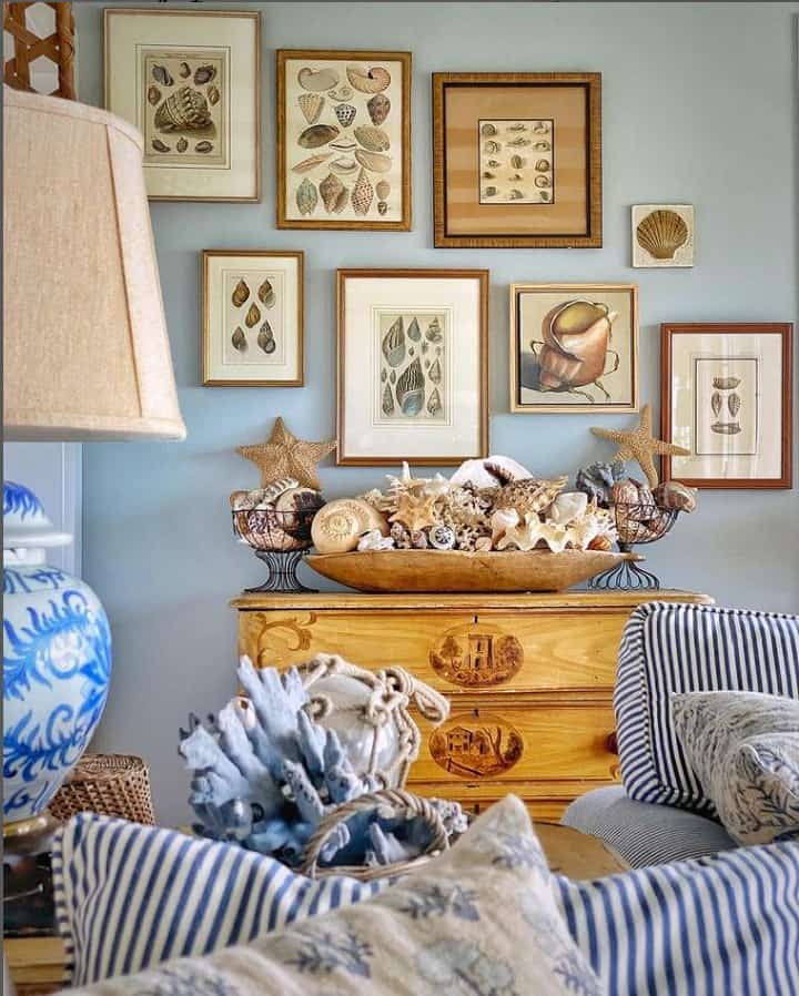 living room with seashell collection
