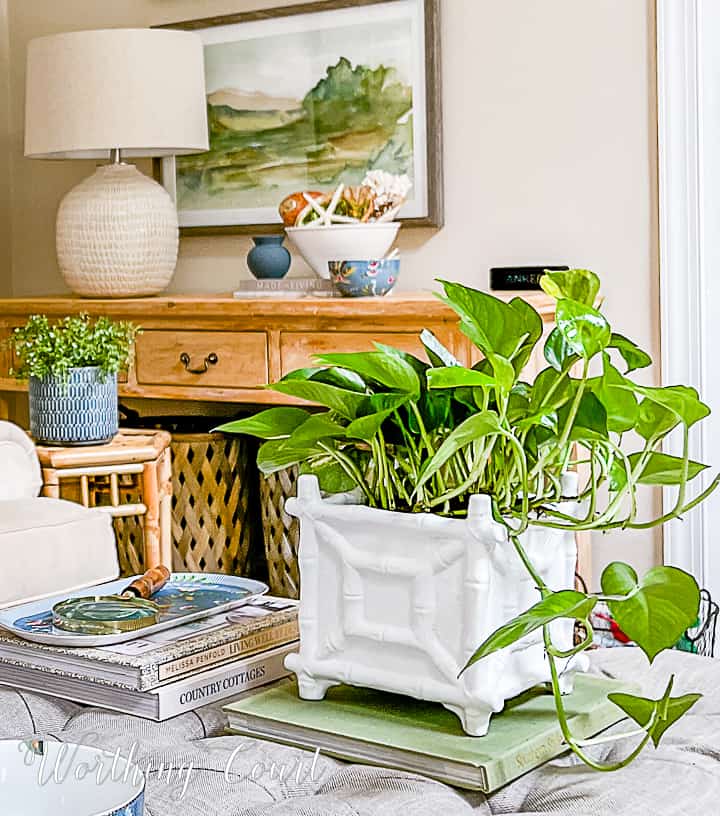 green plant in a white Chippendale style ceramic planter
