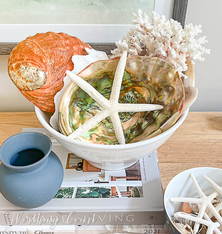 white bowl filled with seashells