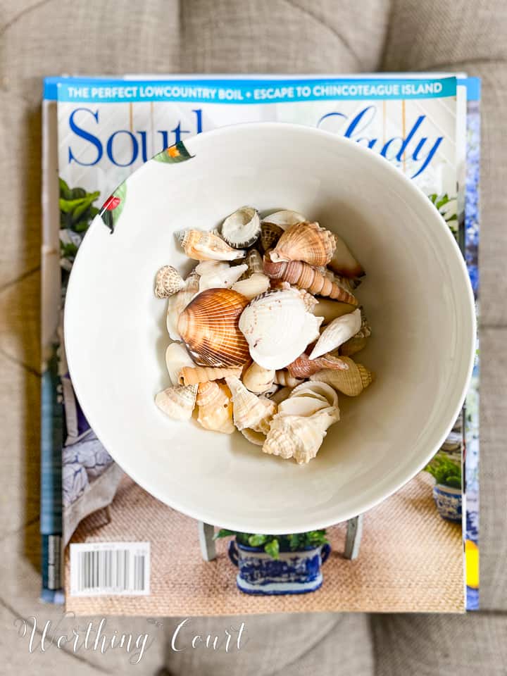 overhead view of a bowl filled with small seashells