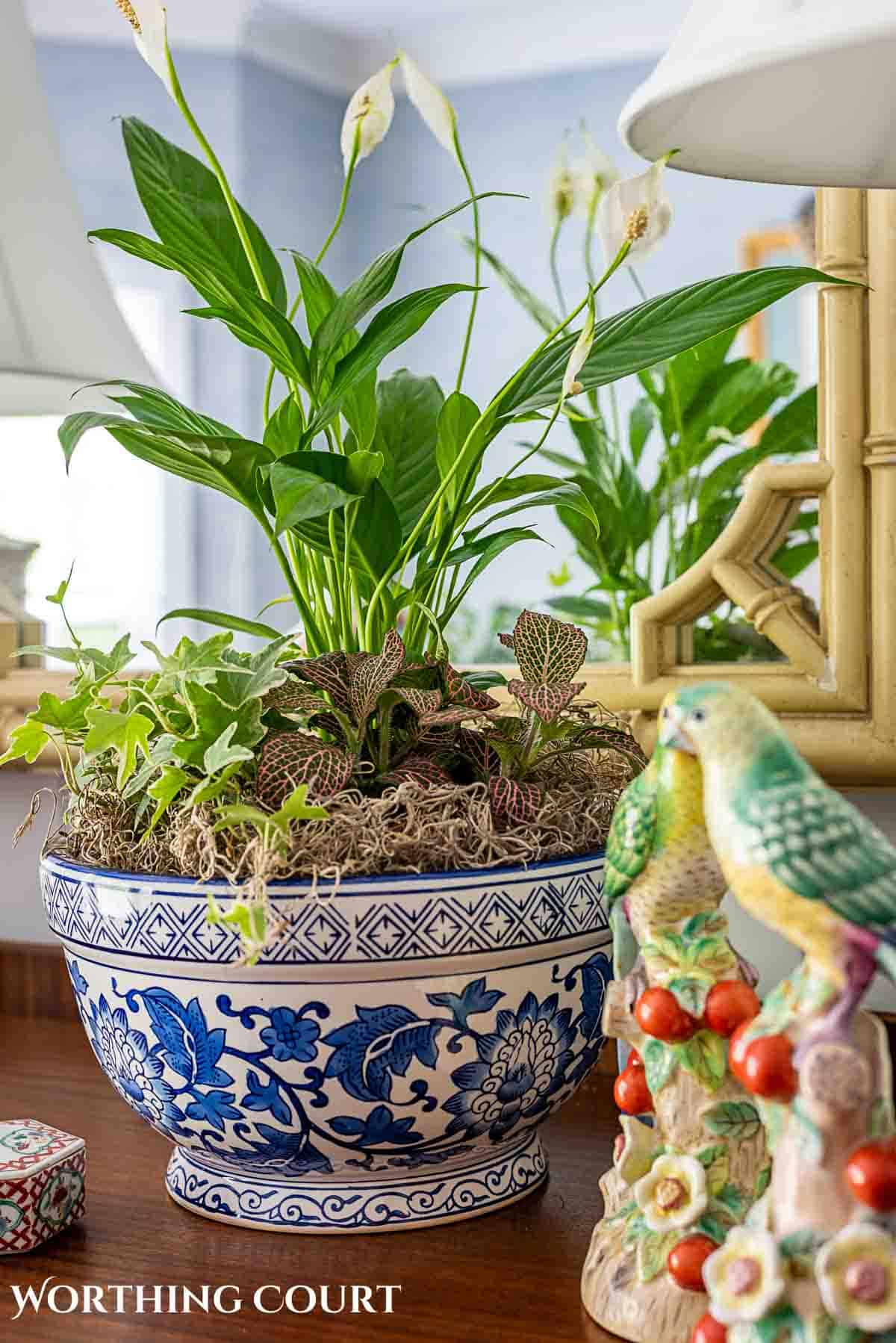 group of plants in a blue and white container for an easy Mother's Day gift