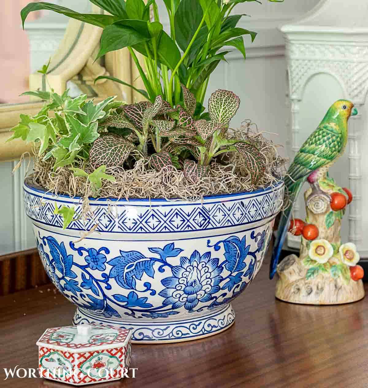 group of plants in a blue and white container for an easy Mother's Day gift
