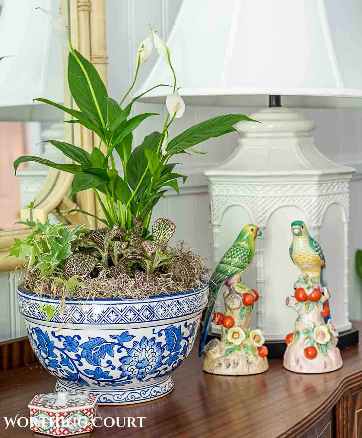 group of plants in a blue and white container for an easy Mother's Day gift