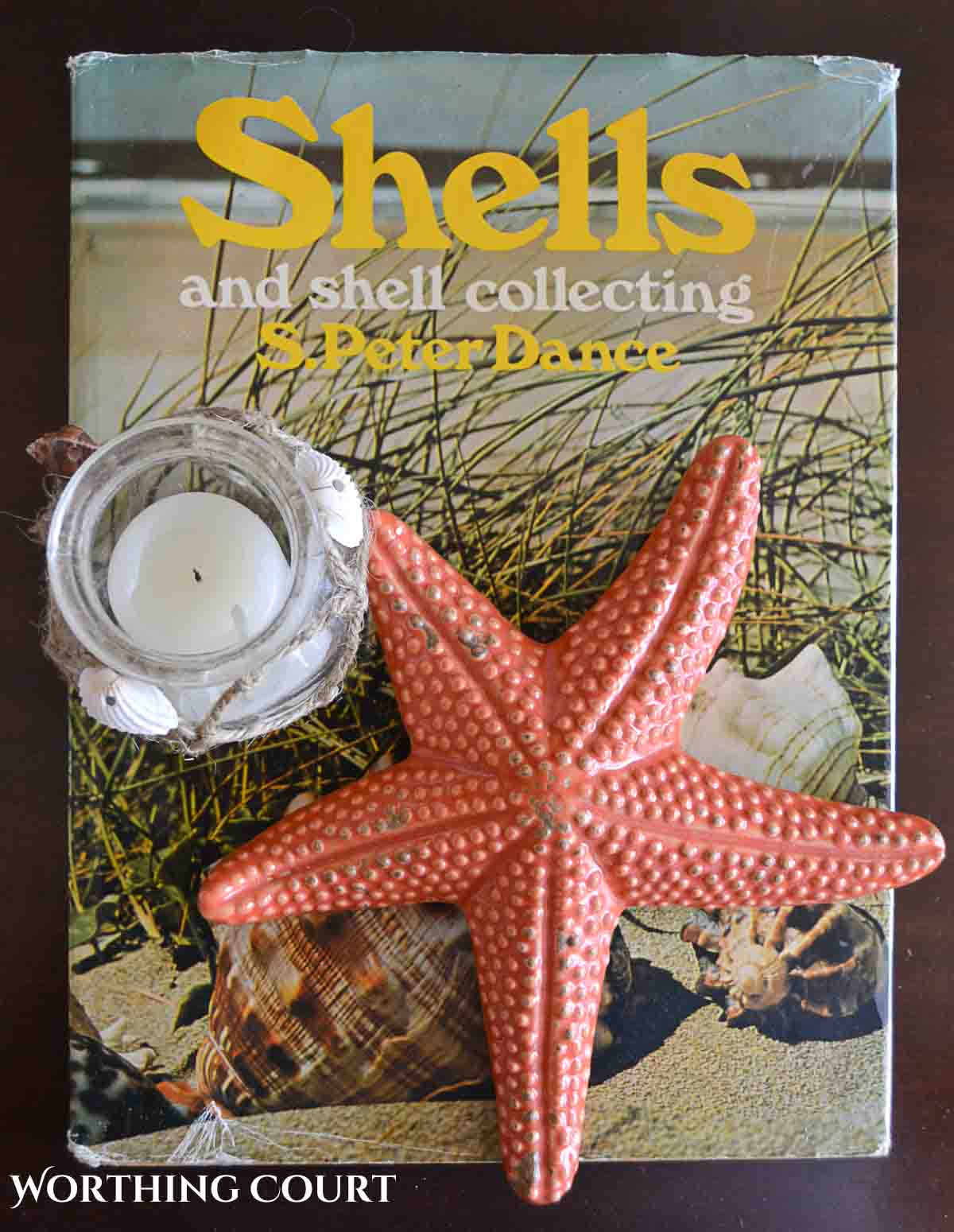 book about seashells with coral colored faux starfish on top