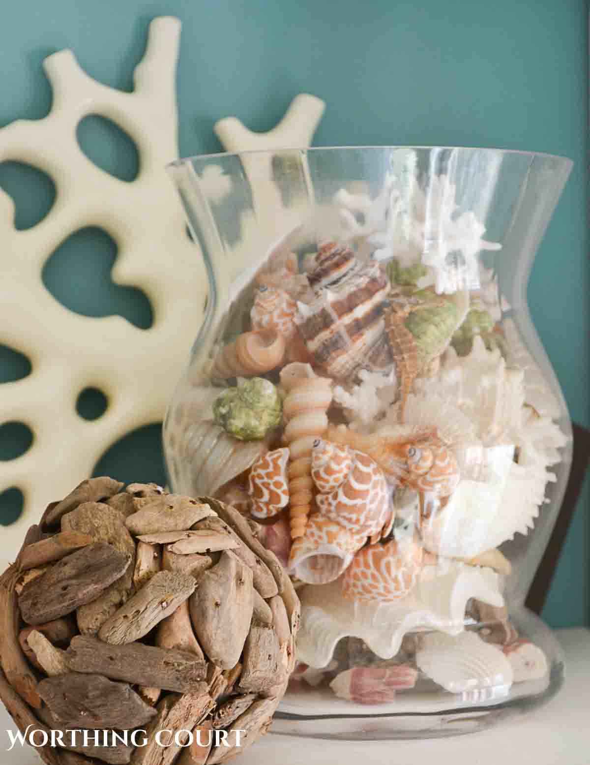 glass vase on a bookcase filled with a variety of seashells