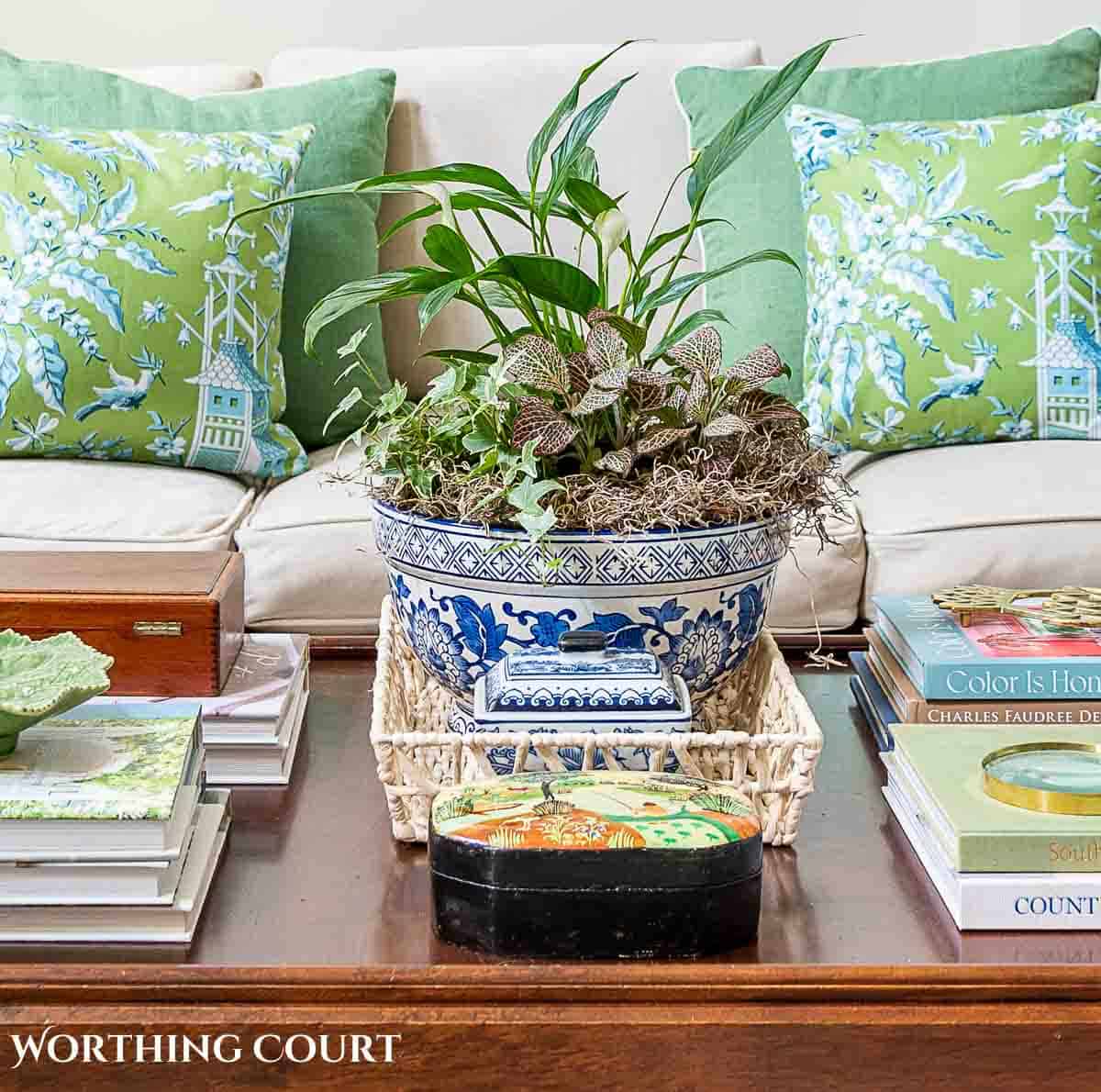 plants in a blue and white bowl on a coffee table decorated for summer with green pillows on sofa in background