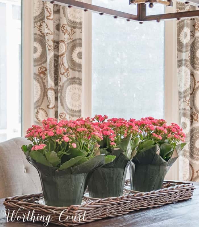 trio of potted flowers on a kitchen table in a row