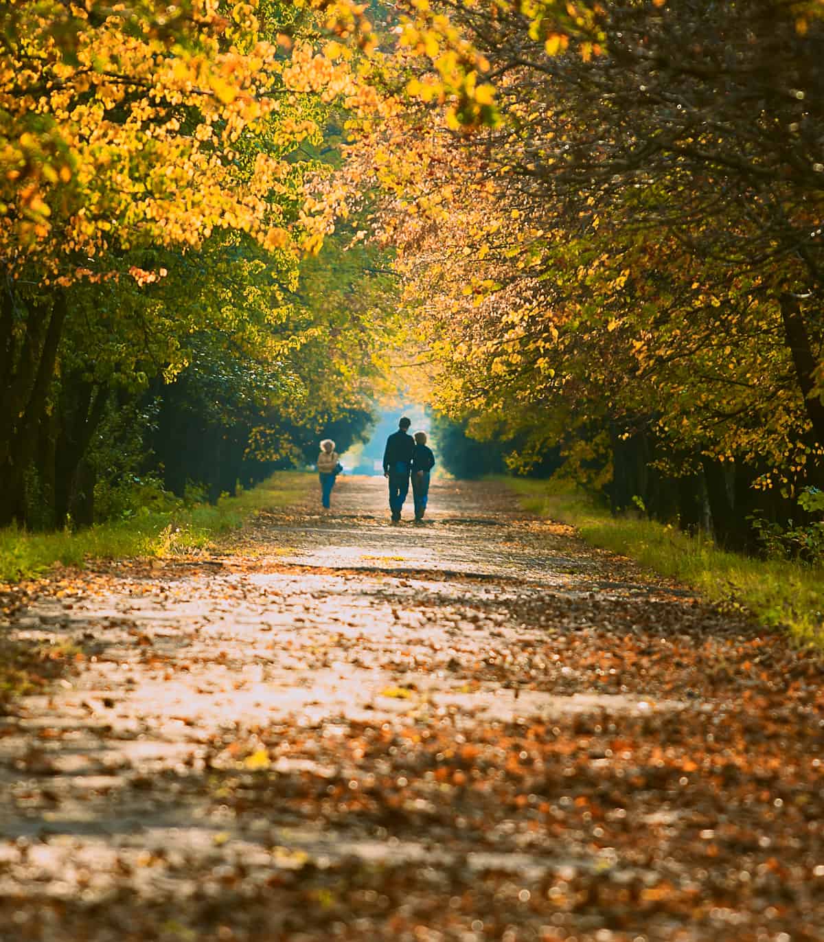 couple walking on a path in the woods on a fall day