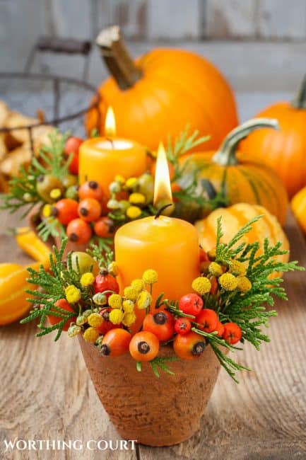 picture of fall candle, pumpkins and berries