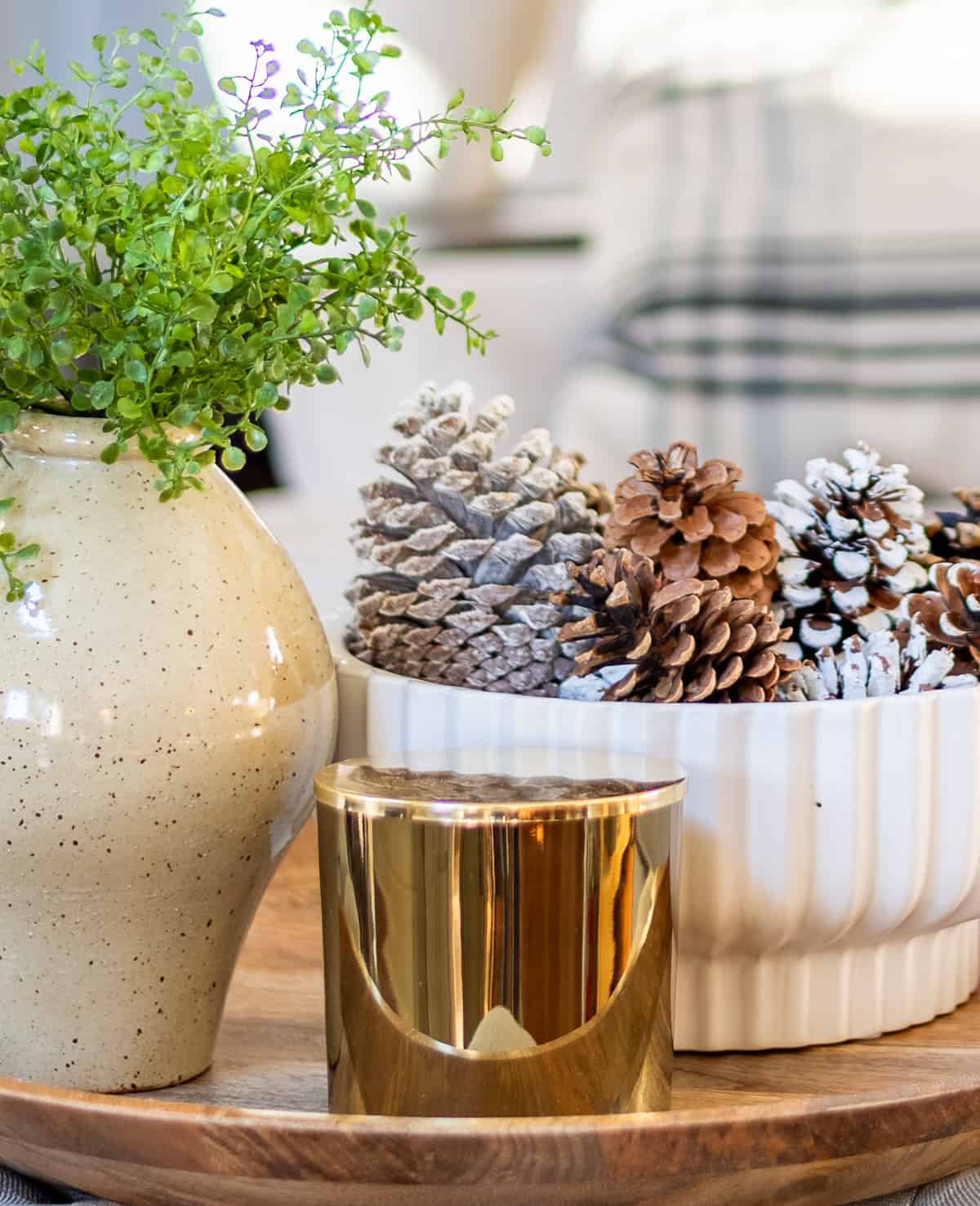 winter vignette with a white bowl, pinecones, candle and faux greenery in a vase