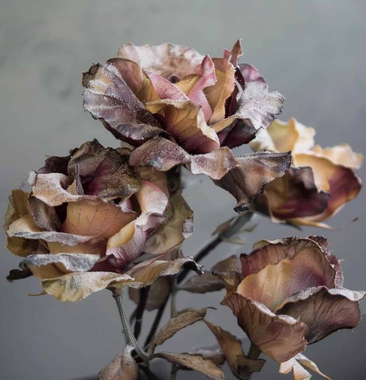 dusty artificial roses
