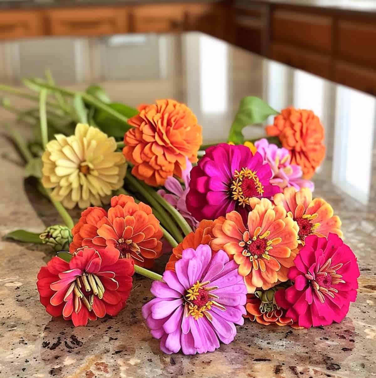 bouquet of flowers on a counter