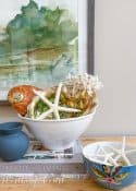 white bowl filled with seashells