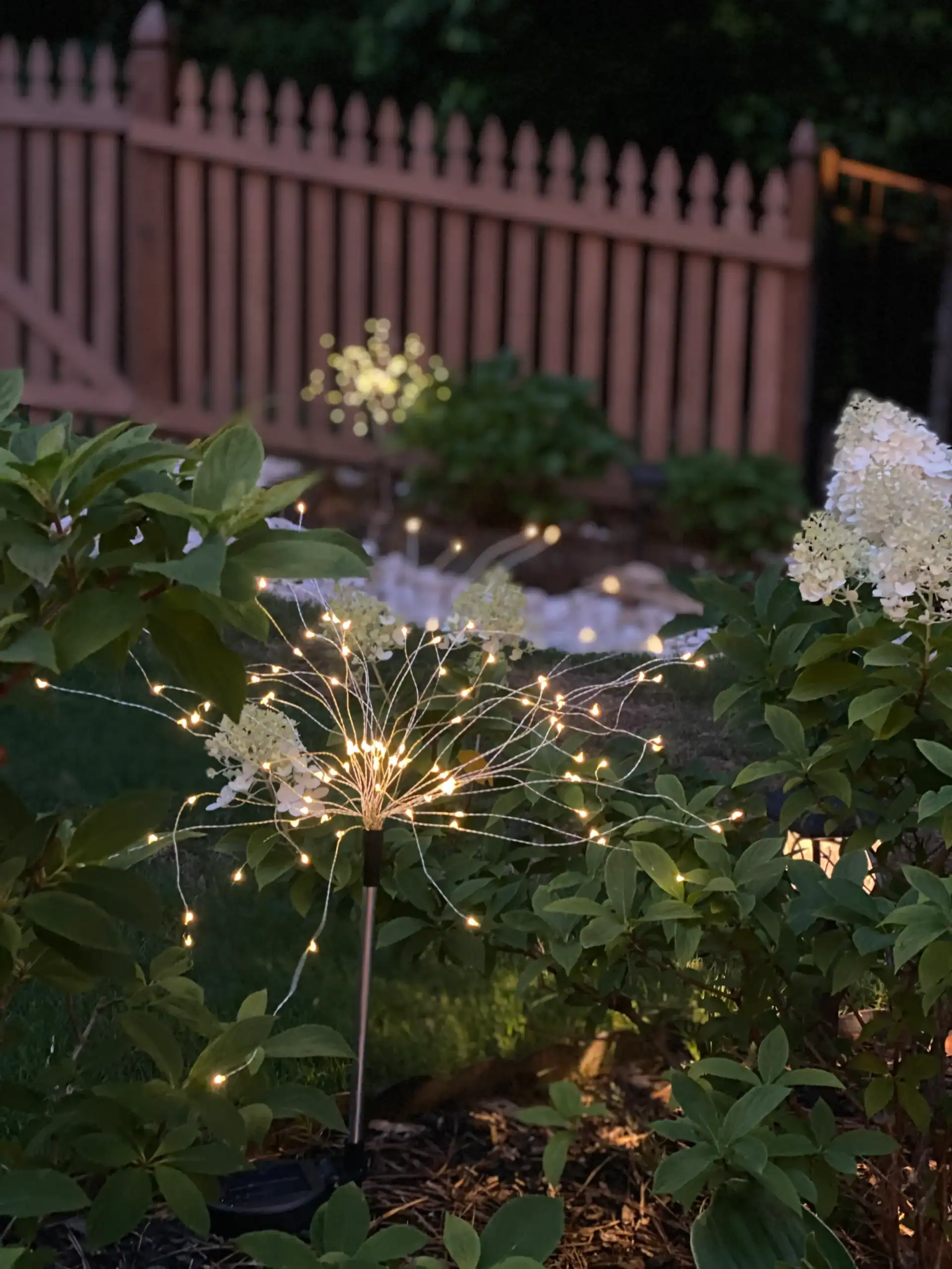 Backyard Lighting