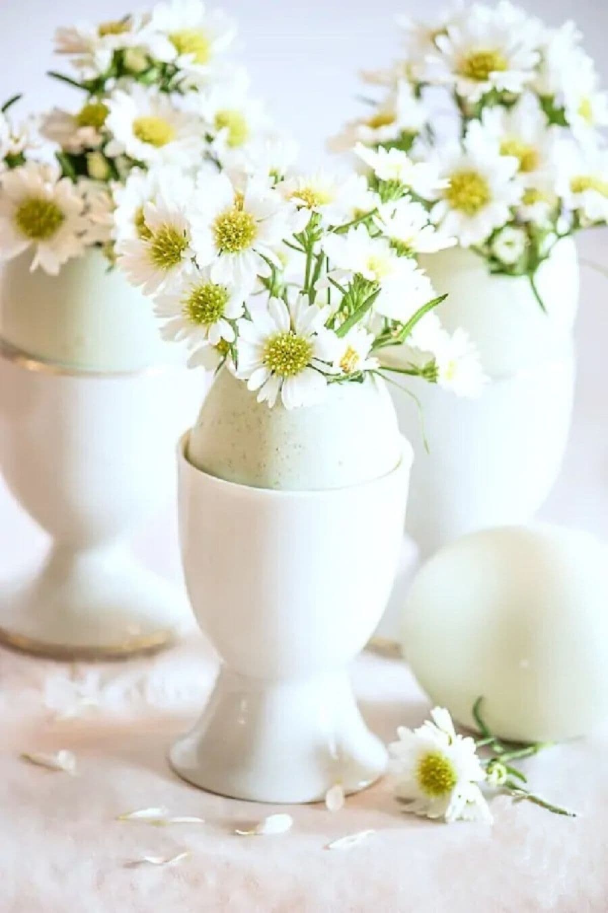 100 Spring Ideas