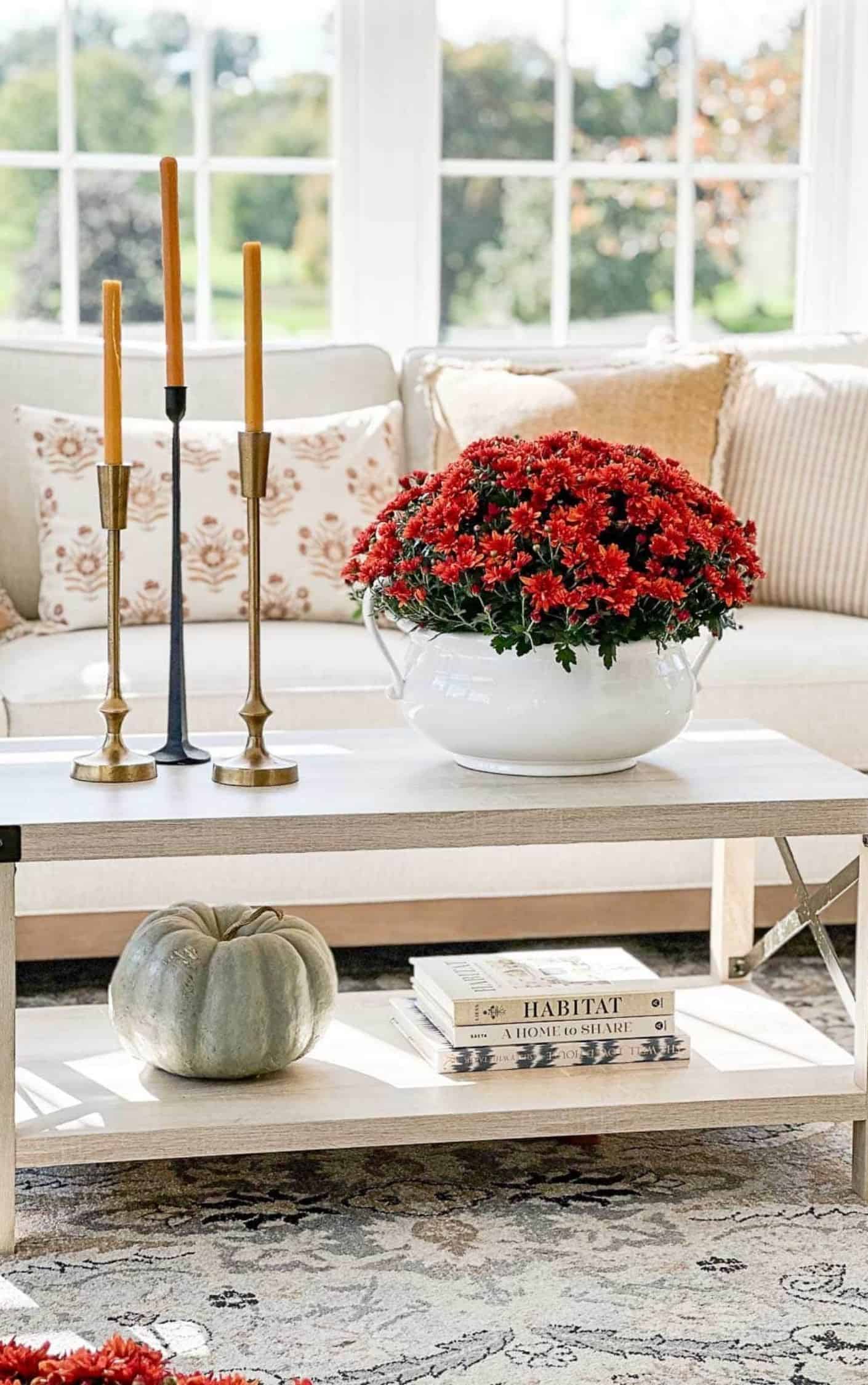Elevated Fall Look
