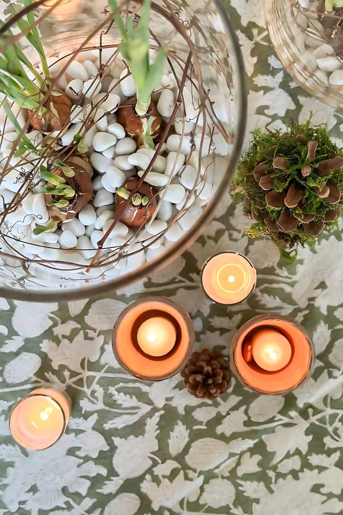 overhead view of paperwhite bulbs in a glass bowl with white gravel