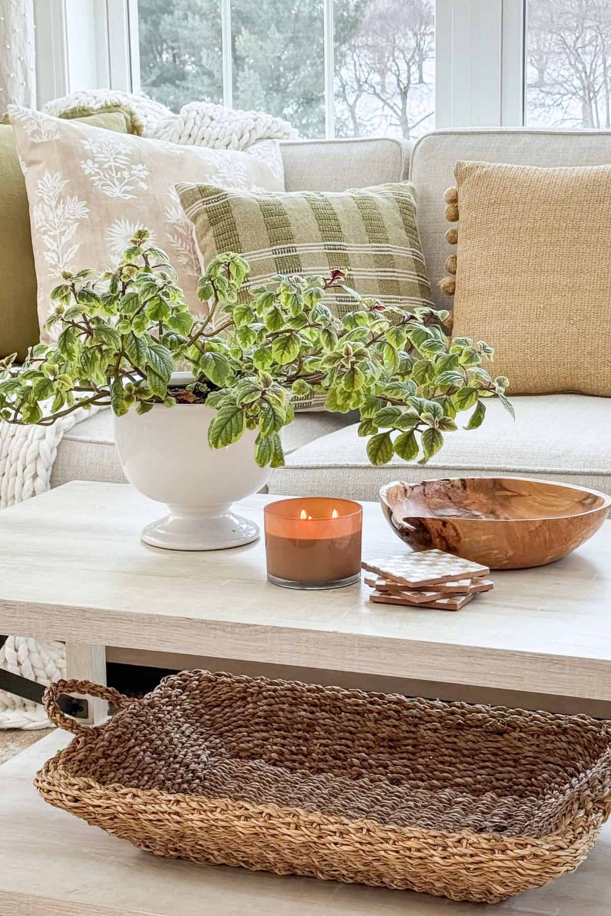 neutral coffee table vignette with greenery