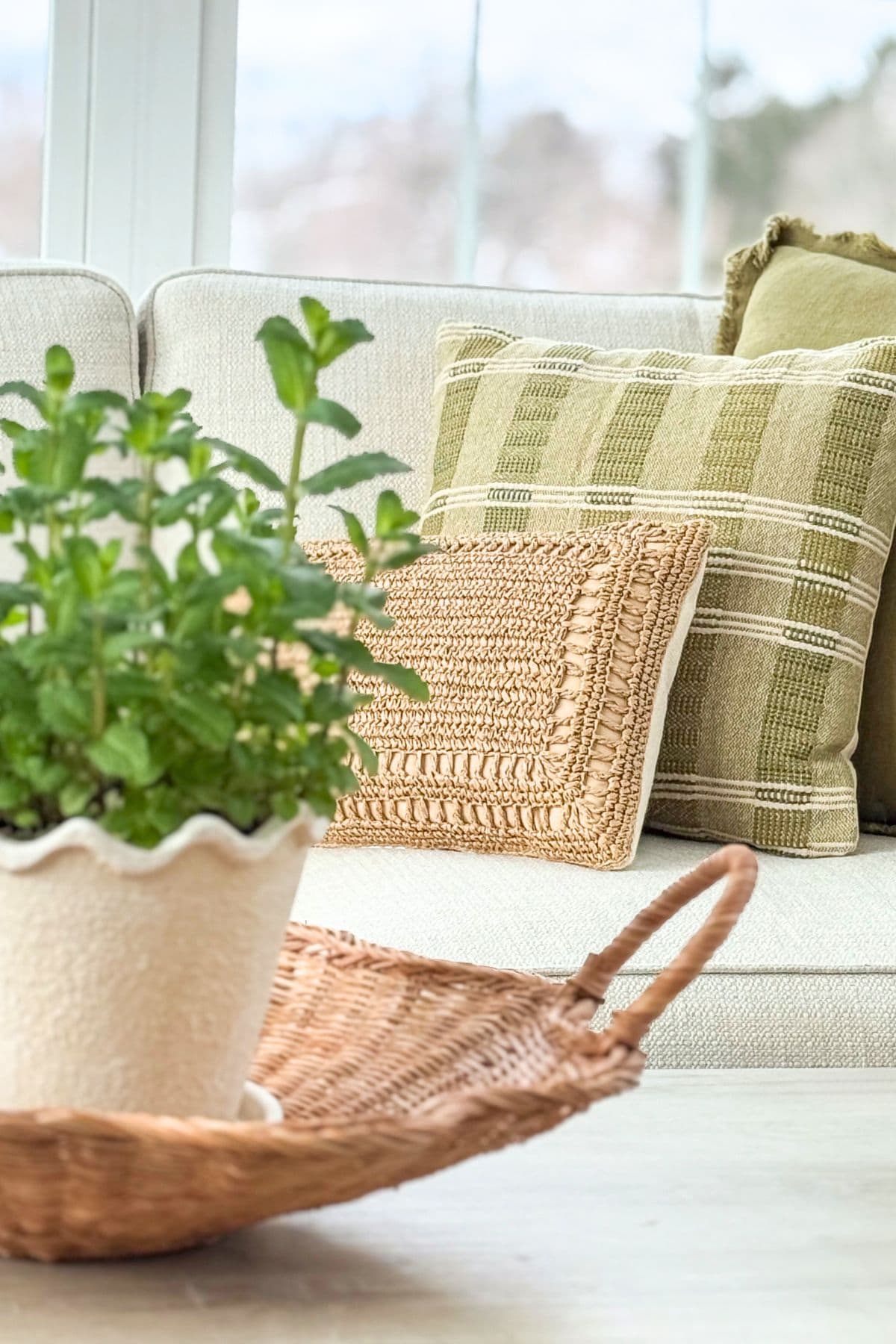green and tan throw pillows
