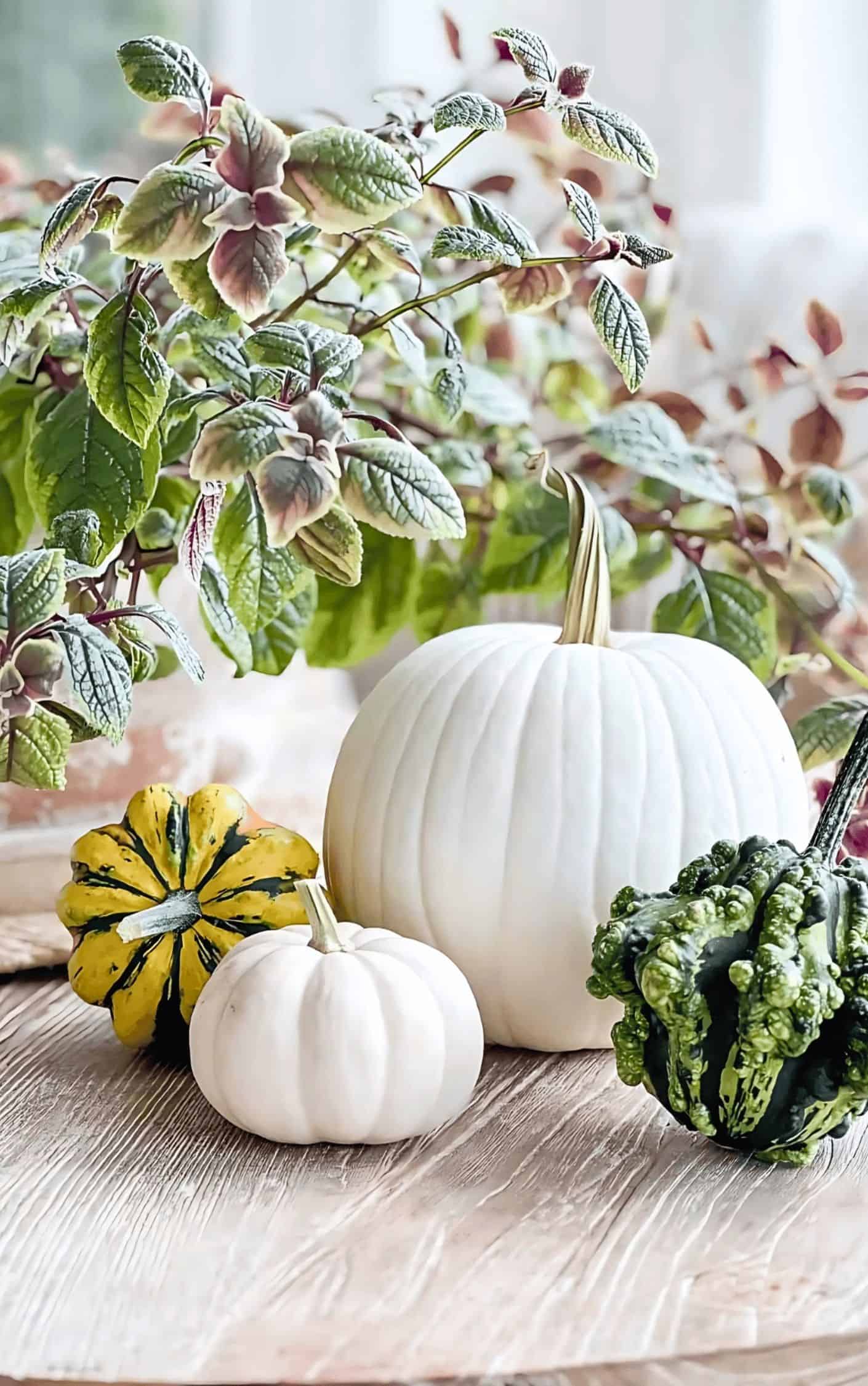 group of two white, one green, and one yellow pumpkin
