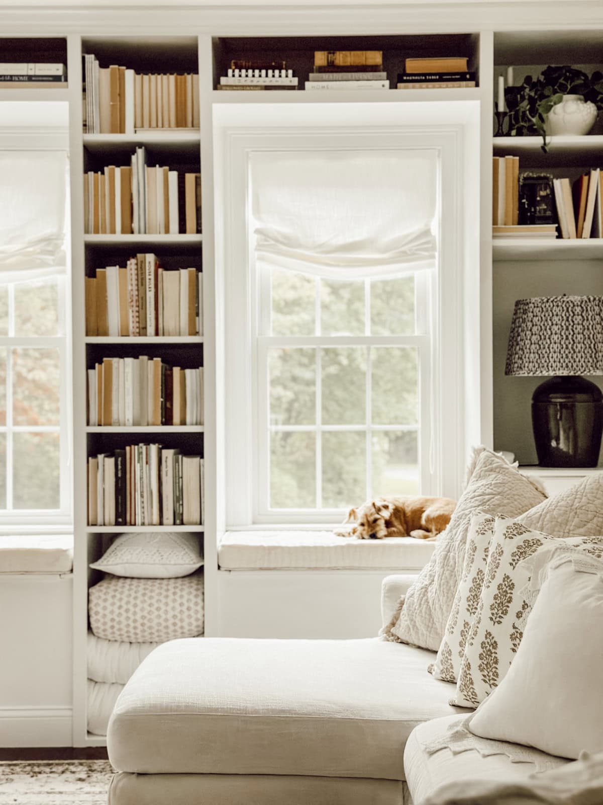 white spined books on a wall bookcase