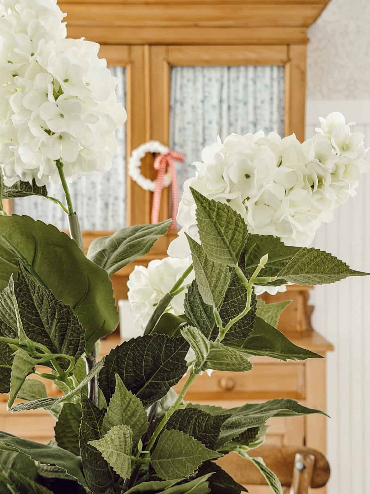 close up of two white hydrangea blooms