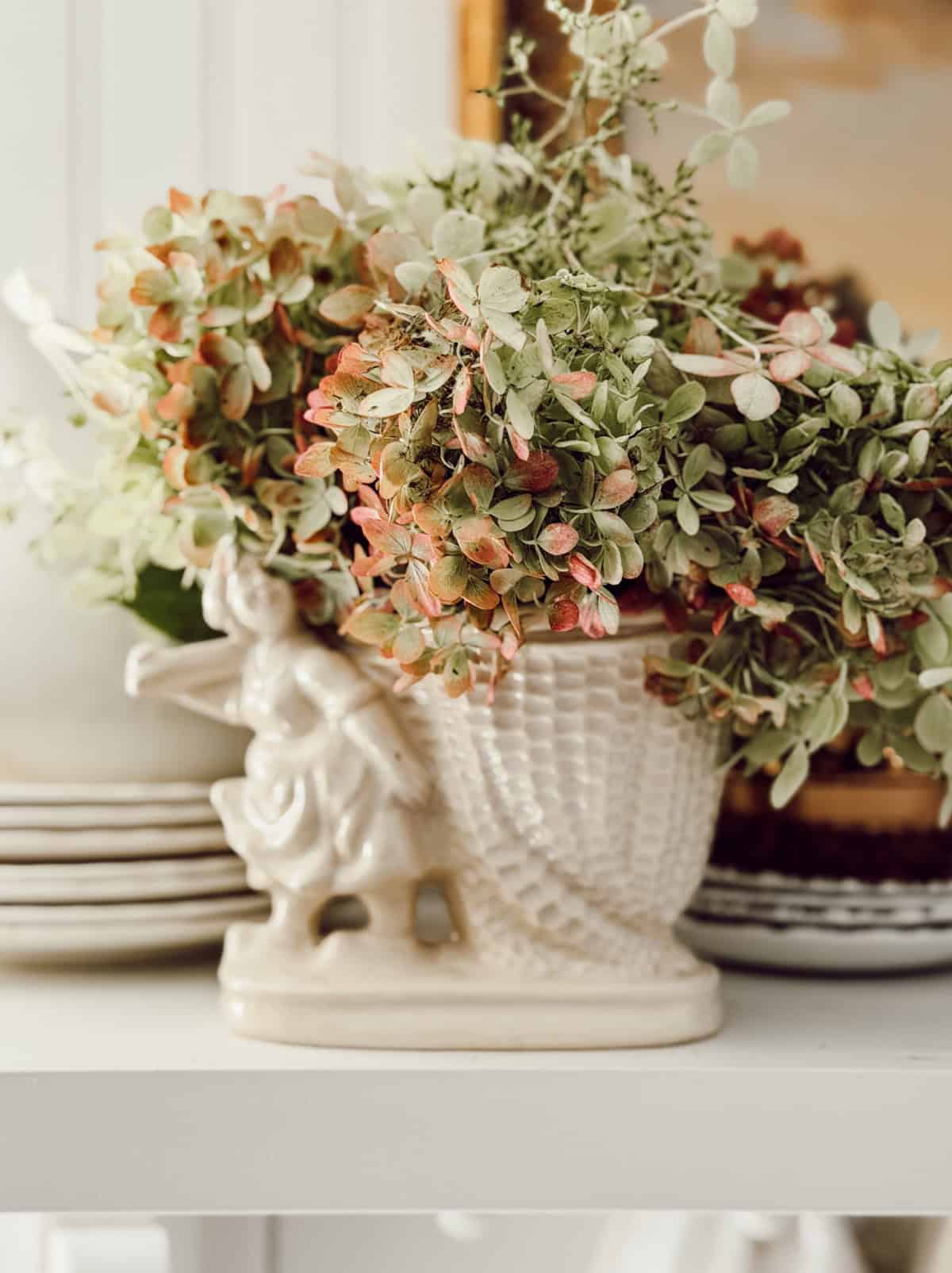 green and pink dried hydrangeas in a creamy white vase