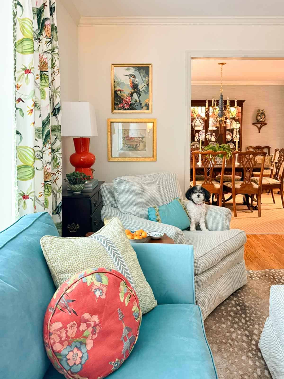 partial view of a living room decorated with colorful patterns, chinoiserie accents, and traditional style furniture. Includes a blue velvet loveseat, faux bamboo bookcase, antelope print area rug, samsung frame tv in a gallery wall with art prints, framed needlepoint and plates, with coral accents